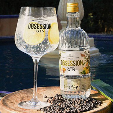 Pasado y Presente | Obsession Gin