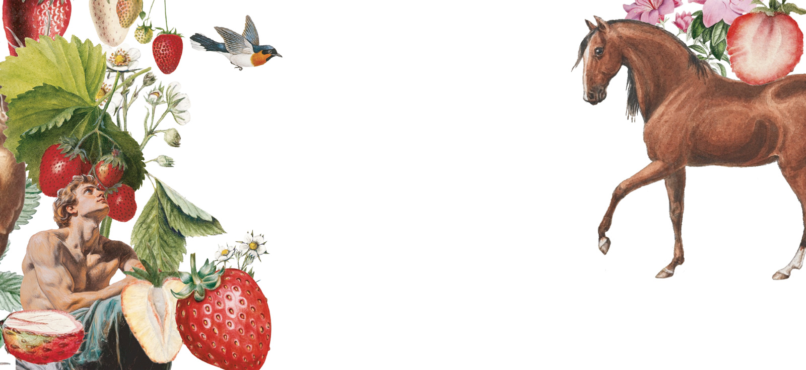 Obsession Gin Strawberry | Andalusí Destileria